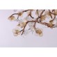 DV3953 Almond